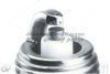 SKODA 004081168 Spark Plug